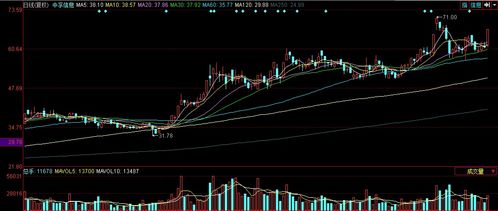 中國軟件板塊走強(qiáng)，中孚信息漲停引領(lǐng)計(jì)算機(jī)軟件行業(yè)發(fā)展